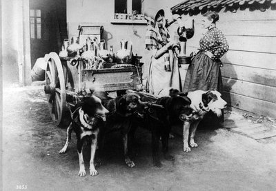 Un dogcart vendant du lait à Bruxelles, vers 1890 - Belgian Photographer